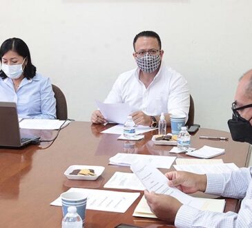 Comisiones proyectan consulta a los pueblos originarios en temas electorales, de salud y asistencia social