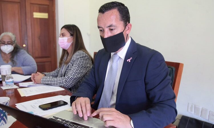 La propuesta de entregar gratis las placas vehiculares se analizará de forma responsable