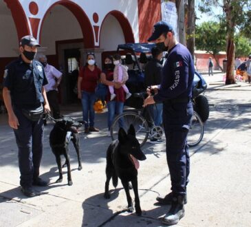 Prevalece el orden y la tranquilidad, durante operativo de Dia de Muertos: SSPE 