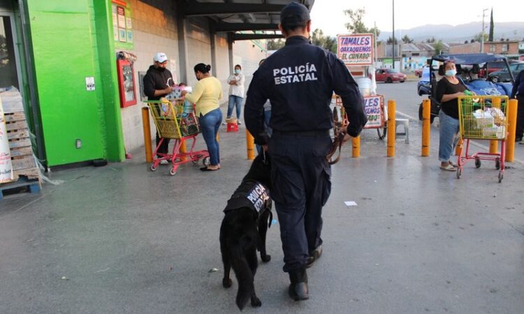 Policía Estatal participará en operativo de coordinación “Buen Fin 2021”