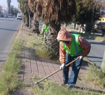 Programa renovando tu colonia refleja los primeros resultados en Soledad de Graciano Sánchez