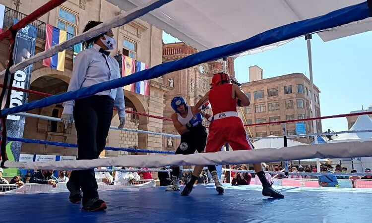 Todo listo para el primer torneo denominado “Box Sin Fronteras”