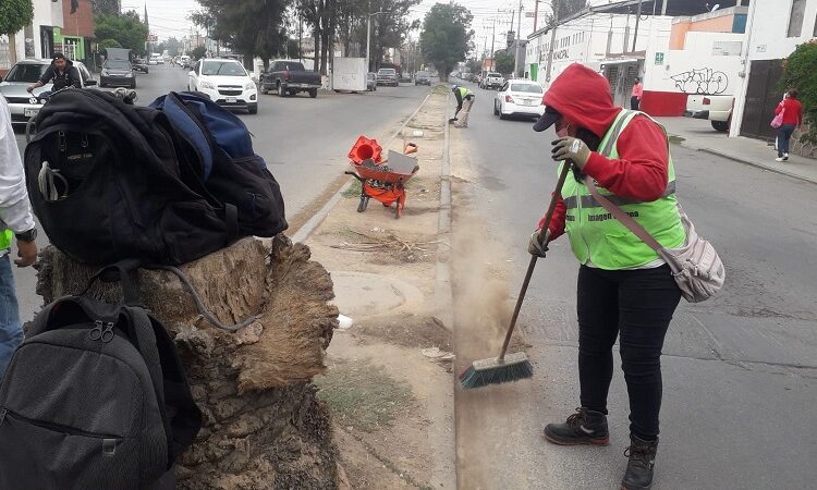 Diferentes direcciones del Ayuntamiento trabajan en el embellecimiento de áreas públicas de Soledad