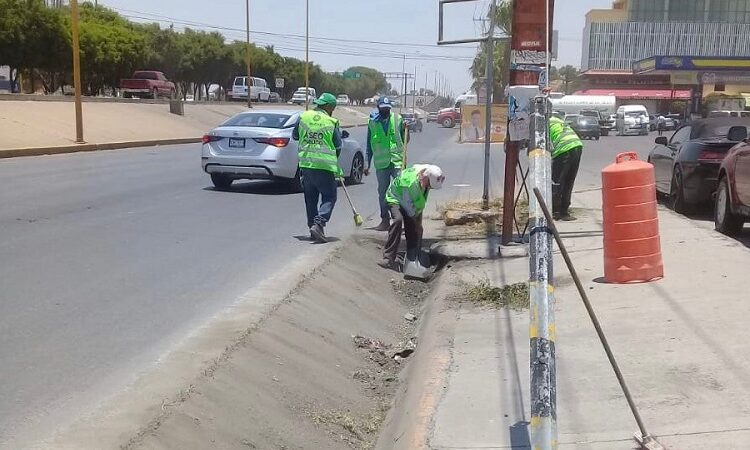 Personal de Aseo Público de Soledad de Graciano Sánchez realiza labores de limpieza en canalón