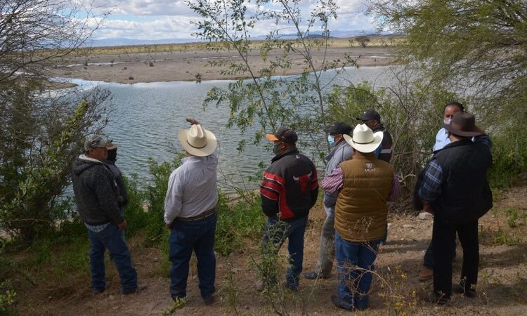 Continúa el monitoreo al campo soledense para detectar cualquier daño a causa de la sequía