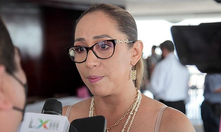 Los ayuntamientos deben planear el crecimiento de las ciudades para que haya servicios de calidad: dip. Liliana Flores