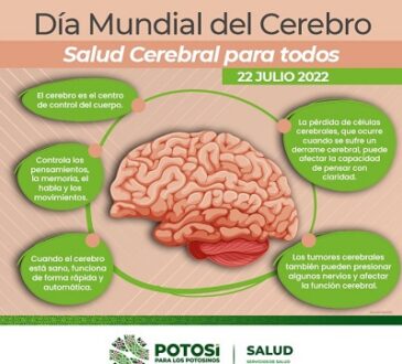 El cuidado del cerebro también es prioridad
