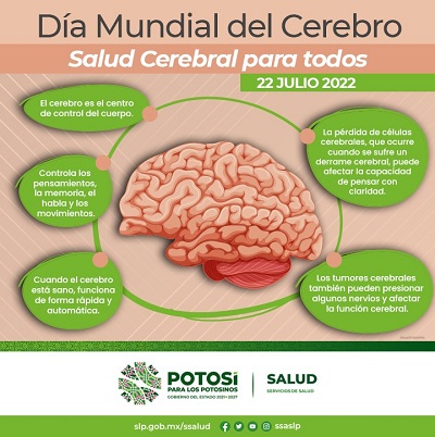 El cuidado del cerebro también es prioridad