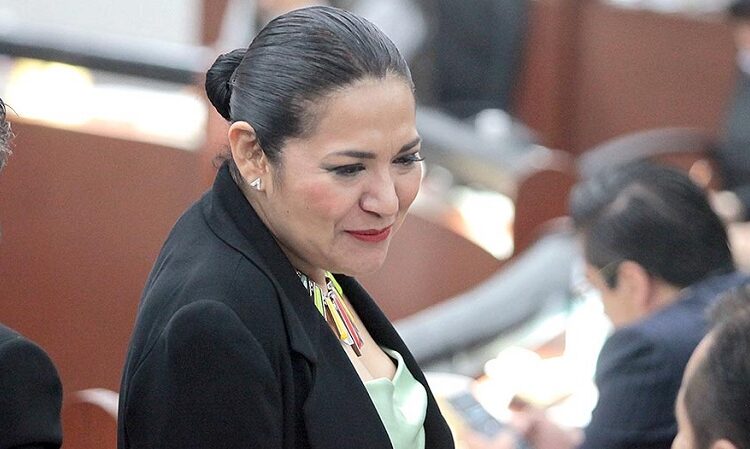 La dip. Emma Idalia Saldaña hizo un llamado a las autoridades para regular la venta de ropa y artículos tácticos