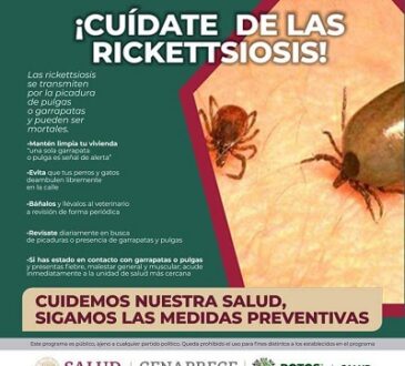 Gobierno lanza campaña para prevenir la Rickettsiosis