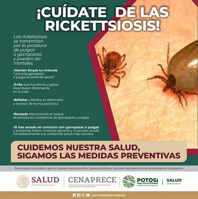 Gobierno lanza campaña para prevenir la Rickettsiosis