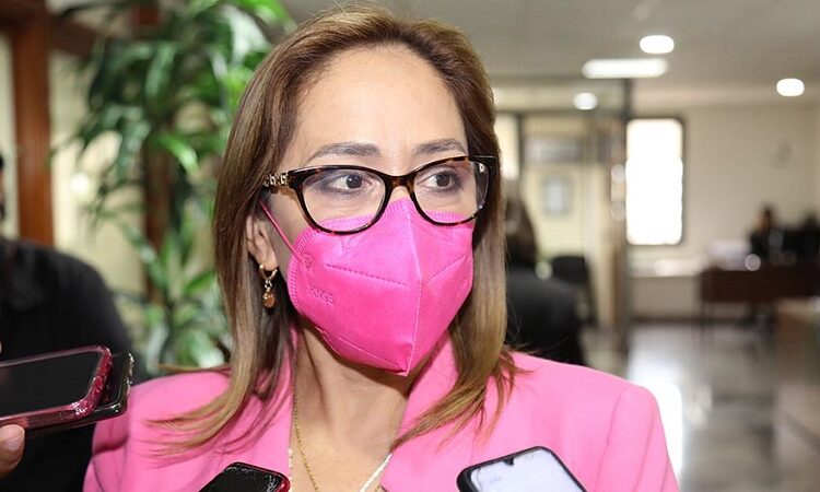 Se deben integrar las necesidades de los municipios en materia de movilidad en la nueva ley de la materia: dip. Liliana Flores Almazán