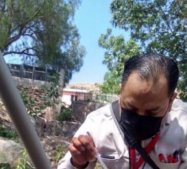 Cero casos positivos de dengue en el estado