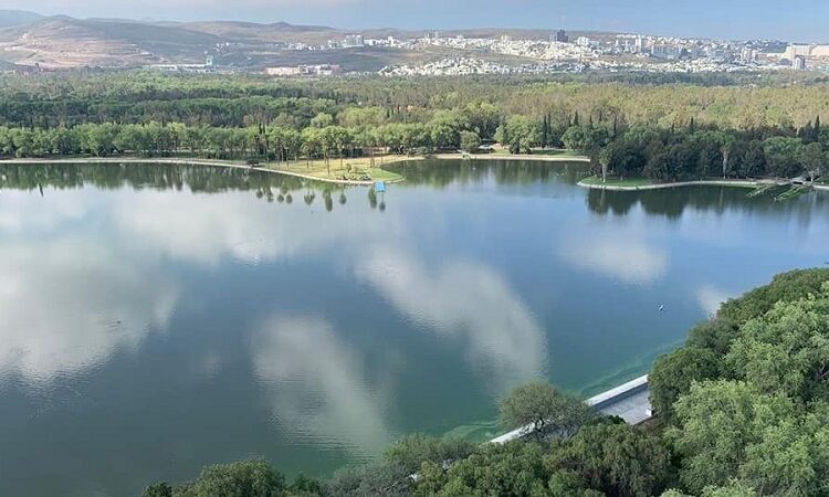 Busca Gobierno Estatal transformar a ciudades en equilibrio con la naturaleza