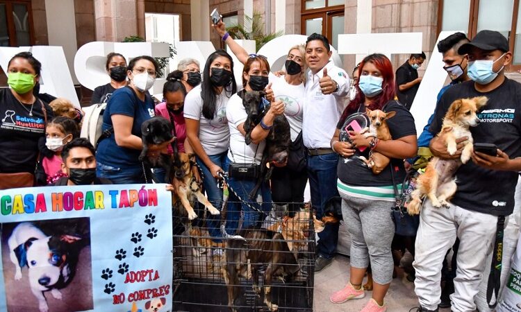 En SLP se defiende, promueve y respeta la dignidad animal: Ricardo Gallardo