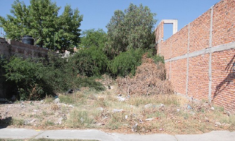 La Dirección de Catastro de Soledad continúa con el envío de invitaciones de pago del impuesto predial a empresarios y dueños de lotes baldíos