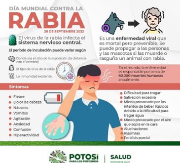 La vacunación de perros y gatos es el método ideal para controlar y erradicar la rabia.