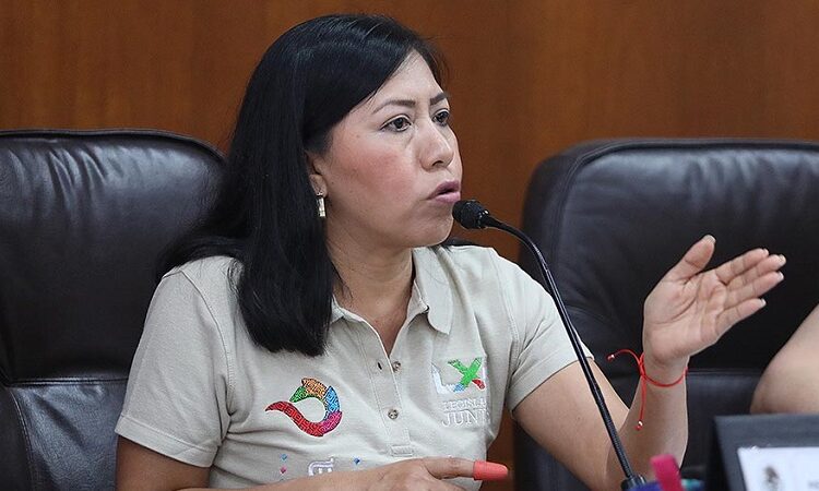 Construcción de carretera Ciudad Valles-Tamazunchale generará progreso, pero debe cuidarse el impacto ambiental
