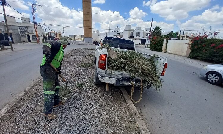 La Dirección de Servicios Municipales de Soledad de Graciano Sánchez rehabilitó espacios públicos del Fraccionamiento Puerta Real