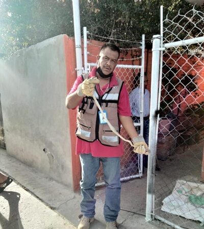Protección Civil de Soledad aseguró una víbora de cascabel en Praderas del Maurel