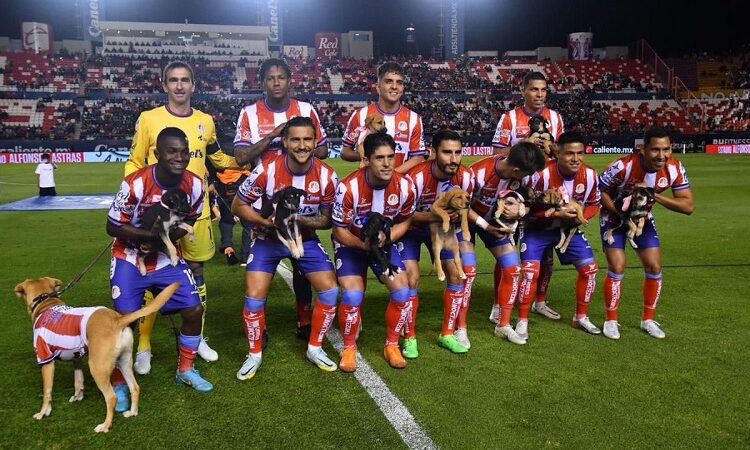 Ayuntamiento y el Atlético de San Luis trabajan de la mano para difundir la adopción responsable de mascotas
