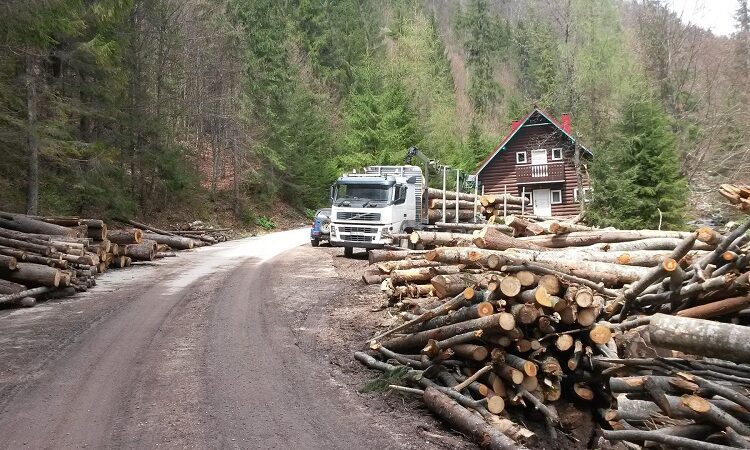 1ª Edición del Festival de Cine México-Alemania CineMA