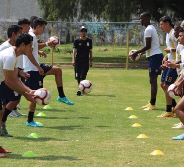 Cachorros buscara los tres punto ante Halcones