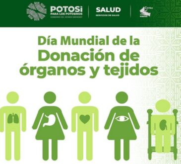 Día Mundial de la Donación de Órganos y Tejidos, y de Trasplantes