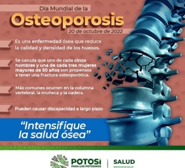 Celebración mundial para concientizar sobre la osteoporosis, cada 20 de octubre.
