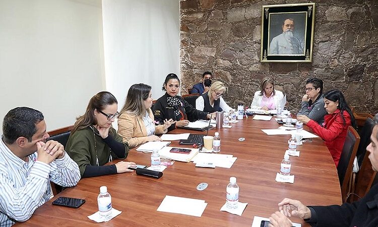 Comisión de Salud y Asistencia Social analiza expedir Ley de Prevención y Atención del Suicidio para el Estado de San Luis Potosí