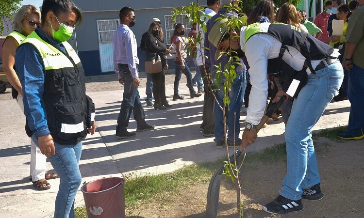 Concluyó con éxito el programa de reforestación “Un árbol, una vida”.