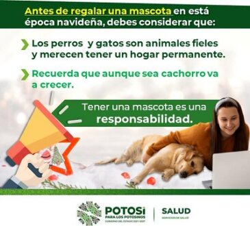 Antes de regalar… debes preguntar, las mascotas requieren cuidados, amor y mucha salud.
