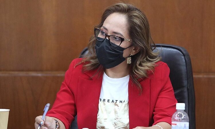 Se deben de redoblar esfuerzos para la preservación de las lenguas de los pueblos originarios: dip. Liliana Flores Almazán