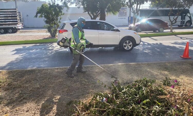 Diferentes áreas municipales trabajan en el cuidado y embellecimiento de espacios públicos en Soledad