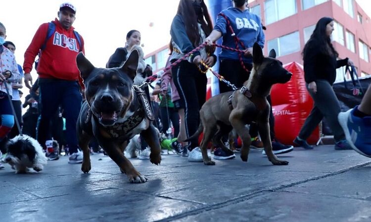 Todo un éxito la 2da Carrera Perrona del Gobierno de la Capital