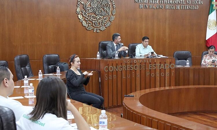 Más de 5 mil personas participaron en la Consulta a Personas con Discapacidad