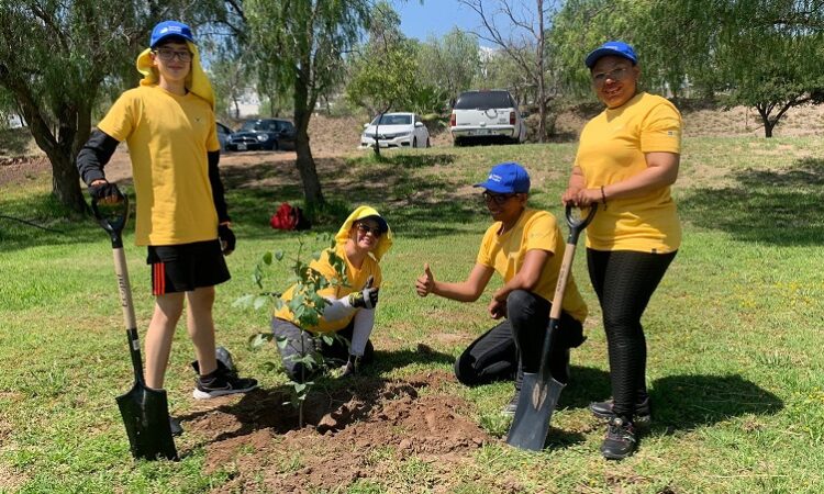 Gobierno Estatal reforesta Parque Tangamanga I